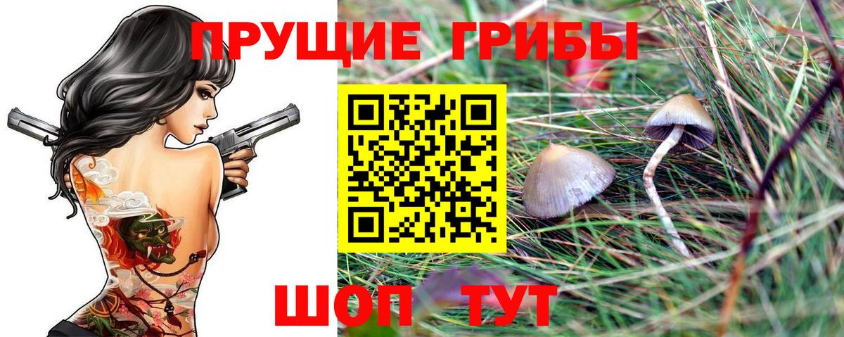 Псилоцибиновые грибы Magic Shrooms Хабаровск