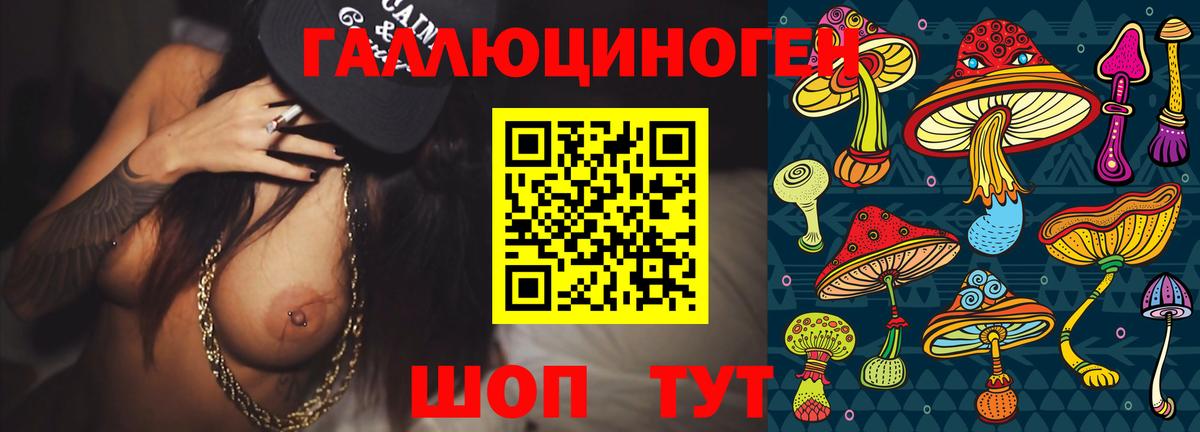 Хабаровск  Псилоцибиновые грибы GOLDEN TEACHER  Вход с VPN 